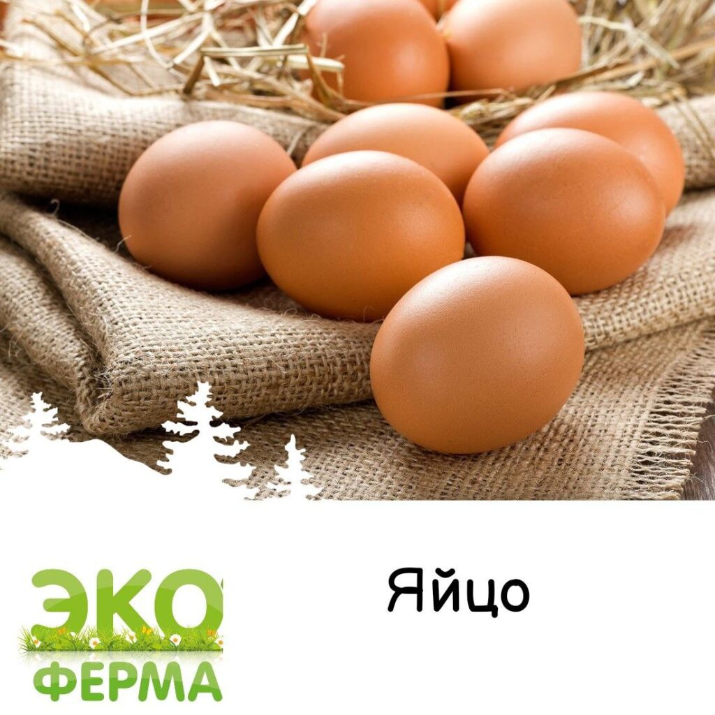 КФХ Юрченко Андрей Борисович