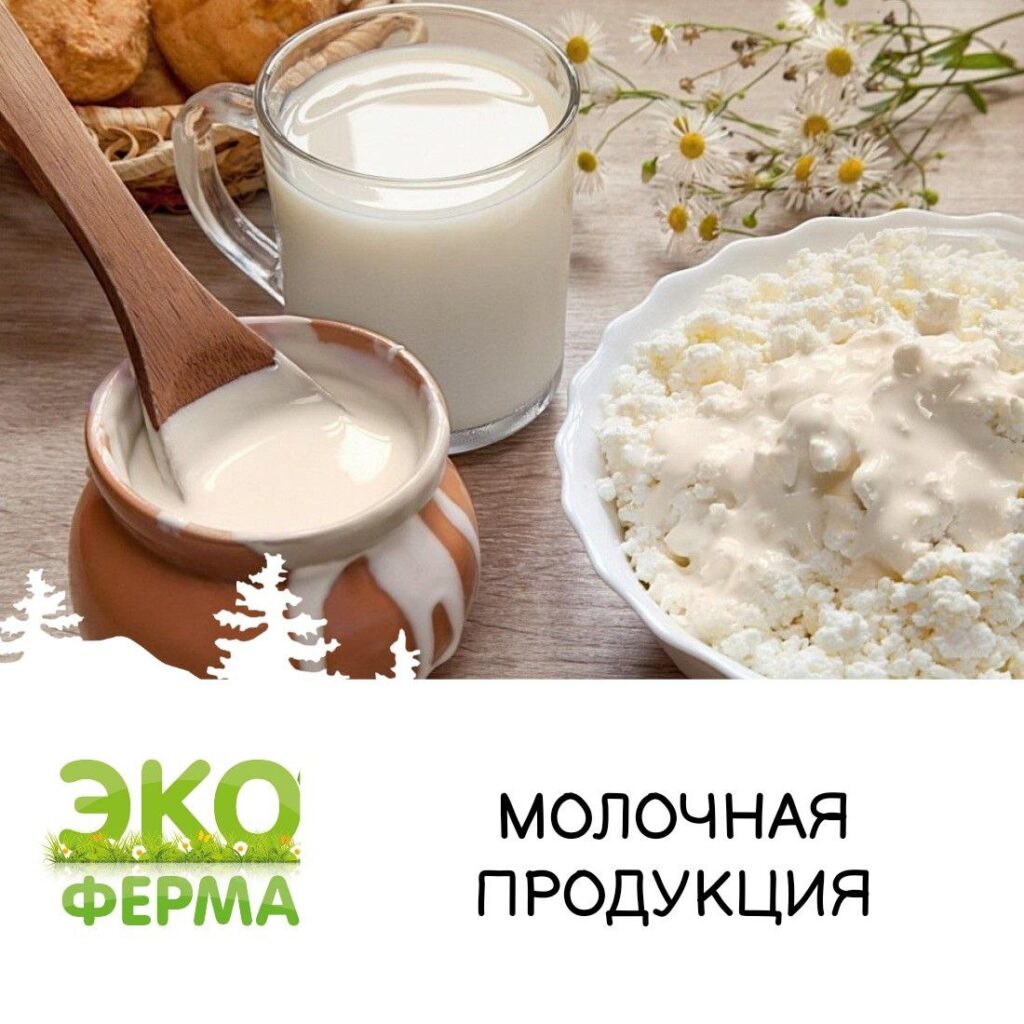 КФХ Юрченко Андрей Борисович